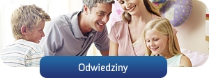 Odwiedziny